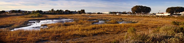 jim lang wetlands OO img 1